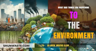 Environmental Crisis: Pollution, Deforestation, and Climate Change Threats Rising