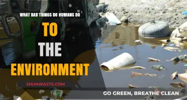 Human Actions Harming Our Planet: Environmental Destruction Explained
