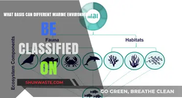 Classifying Marine Ecosystems: Key Factors Shaping Ocean Environments
