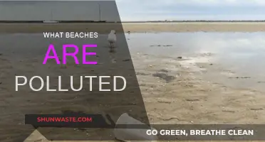 Beaches Exposed: Pollution's Dirty Secrets