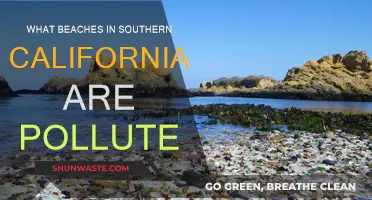 Southern California's Polluted Beaches: A Comprehensive Guide