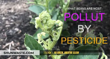 Pesticide Pollution: Which Beans are Most at Risk?