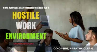 Identifying Hostile Work Environment Behaviors: Key Criteria Explained