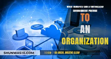 Virtualization Advantages: Boosting Efficiency, Scalability, and Cost Savings for Organizations