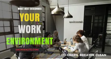Exploring the Dynamics: What Best Describes Your Work Environment?