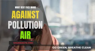 Protecting Your Face: Best Masks for Pollution