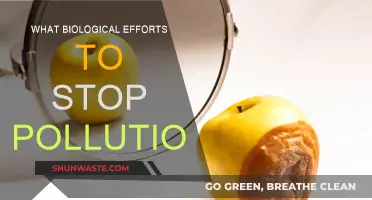 Biological Solutions: Nature's Fight Against Pollution