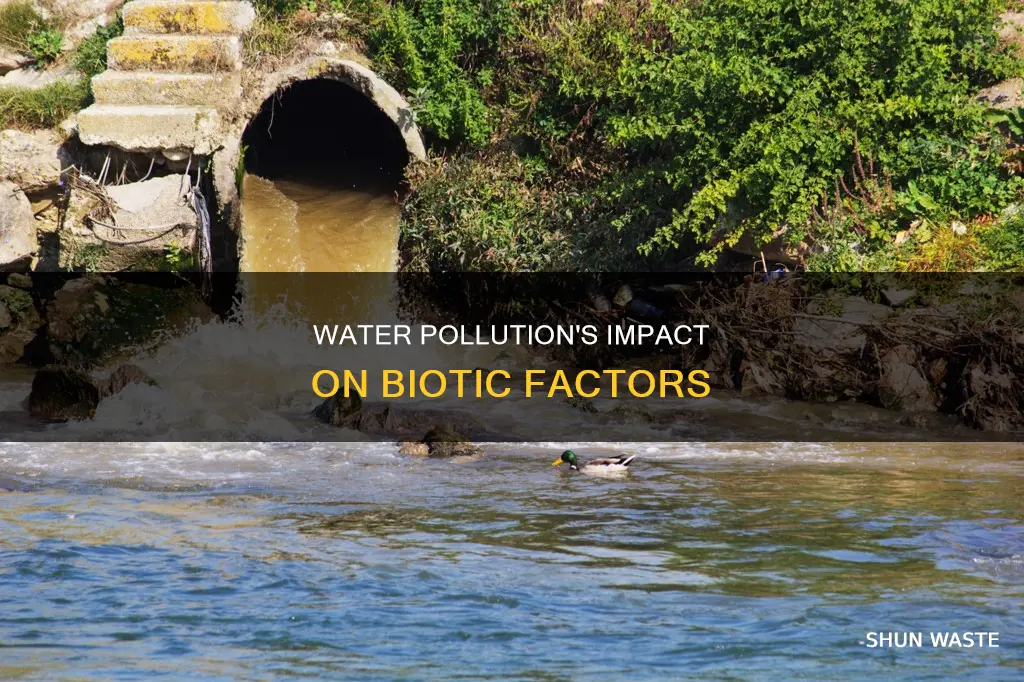 what biotic factor does water pollution usually affect