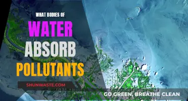 Polluted Waters: Which Bodies of Water Absorb the Most Contaminants?