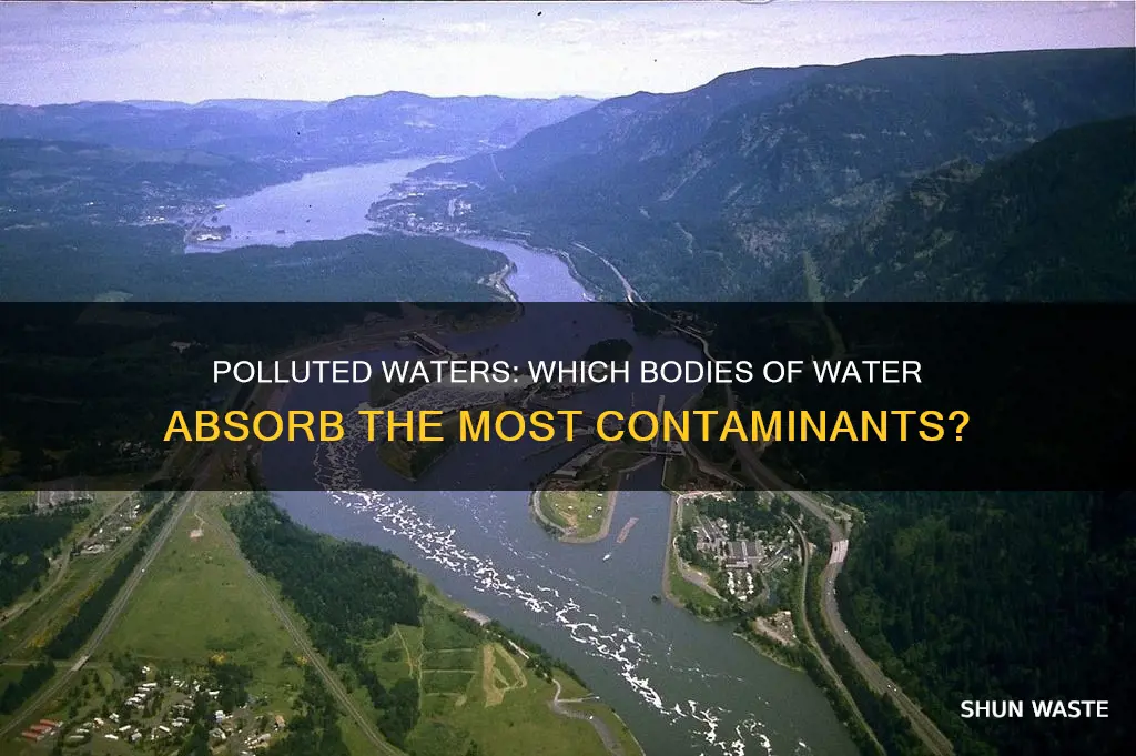 what bodies of water absorb pollutants