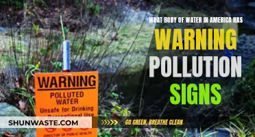 America's Polluted Waters: Signs of Danger on the Horizon