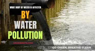 Water Pollution's Impact on Our Bodies of Water