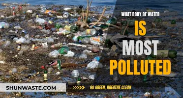 The World's Most Polluted Waterways: A Troubling Reality