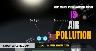 Air Pollution: A Focus for Atmospheric Science