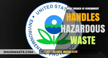 Exploring the Role of Government in Hazardous Waste Management