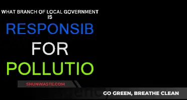 Local Government's Role in Curbing Pollution: A Guide