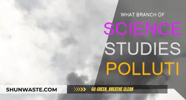 The Science of Pollution: Understanding Environmental Contamination