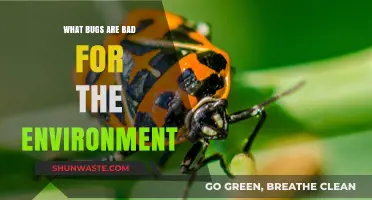 Harmful Bugs: Environmental Impact and Threats to Ecosystems Explained
