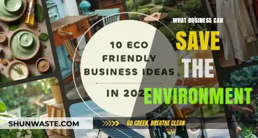 Sustainable Ventures: Eco-Friendly Businesses Leading the Green Revolution