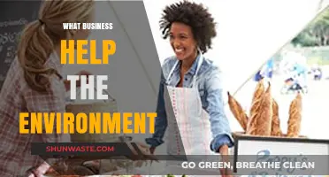 Eco-Friendly Ventures: Businesses Leading the Charge for a Greener Planet