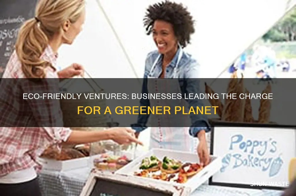 what business help the environment