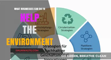 Sustainable Strategies: How Businesses Can Drive Environmental Change