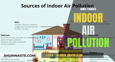 Air Quality Alert: Causes of Indoor Pollution