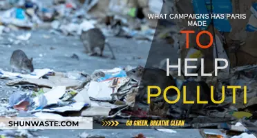 Paris's Anti-Pollution Campaigns: Strategies and Impact