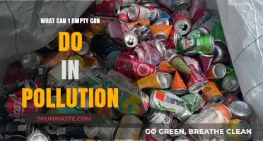 Empty Can, Big Impact: How Recycling Can Fight Pollution