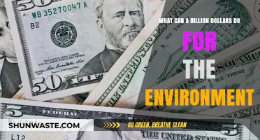 Investing a Billion: Transformative Environmental Impacts and Sustainable Solutions
