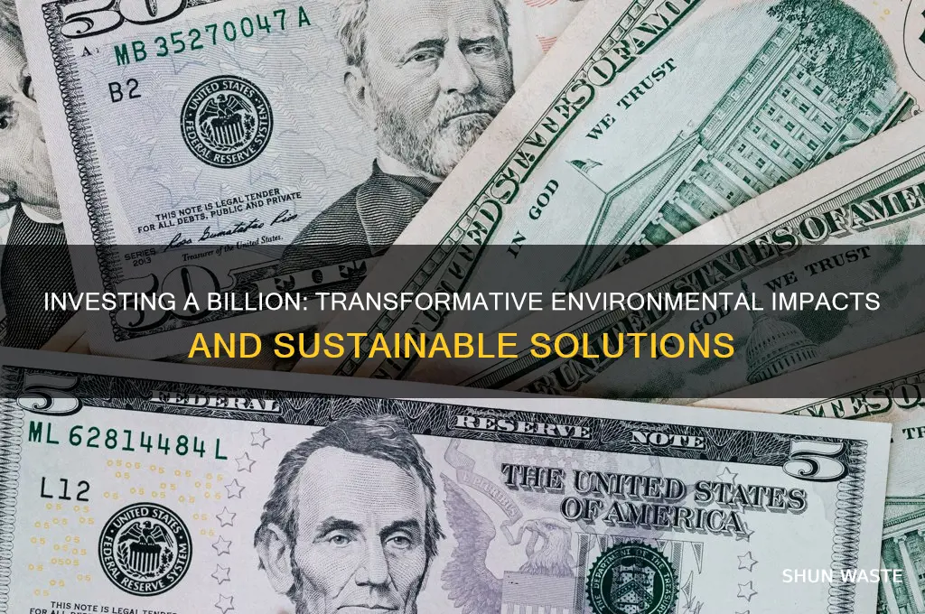 what can a billion dollars do for the environment