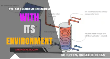 Closed Systems and Environmental Exchange: Exploring Energy and Matter Flows