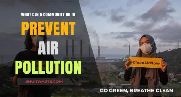 Breathing Clean: Community Action for a Healthier Air