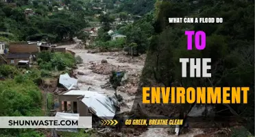 Floods' Devastating Impact: Environmental Consequences and Ecosystem Disruption Explained