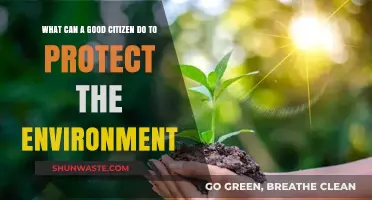Eco-Friendly Actions: How Good Citizens Can Protect Our Environment