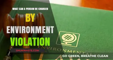 Environmental Violations: Understanding Legal Charges and Penalties for Offenders