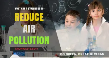 Breathing Clean: Student Tips to Fight Air Pollution