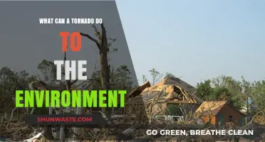 Tornadoes' Environmental Impact: Destruction, Erosion, and Ecosystem Disruption Explained