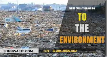 Tsunami's Environmental Impact: Devastation, Ecosystem Disruption, and Long-Term Effects
