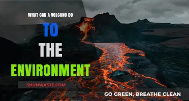 Volcanic Eruptions: Environmental Impacts and Long-Term Ecological Consequences