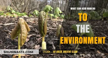 Acid Rain's Devastating Impact on Ecosystems and Environmental Health