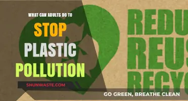 Empowering Adults: Simple Steps to End Plastic Pollution