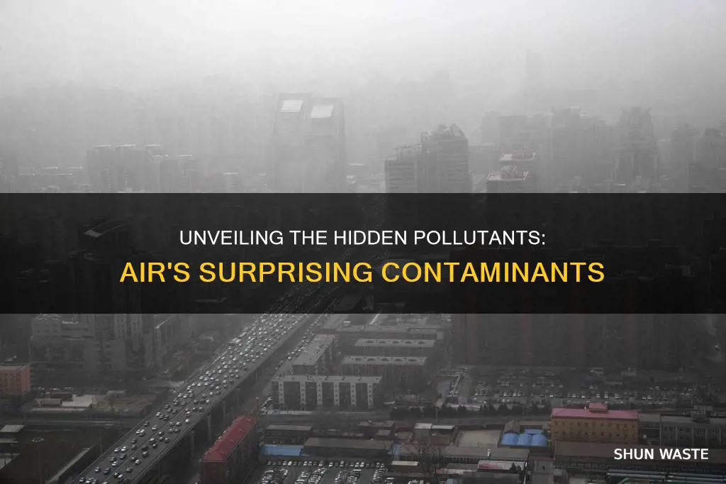 what can air be polluted by