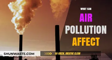 Air Pollution's Impact: From Health to Nature, a Comprehensive Overview