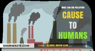 Unveiling the Hazards: Air Pollution's Impact on Human Health