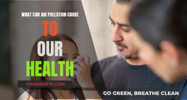 Air Pollution: Harmful Health Effects Revealed