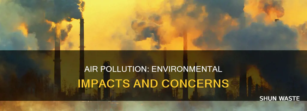 what can air pollution cause to the environment