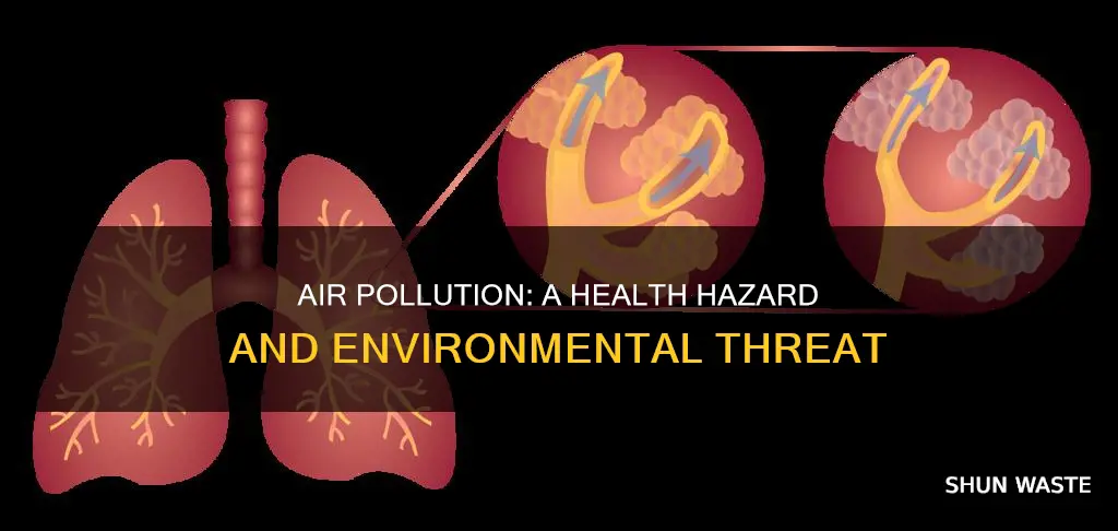 what can air pollution cause