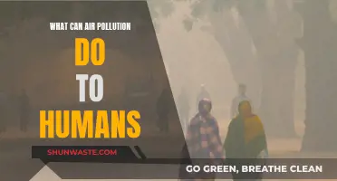 Air Pollution: A Slow Poison for Humans