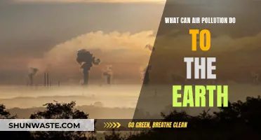 Air Pollution: Earth's Slow Poisoning